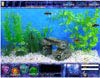 Fish Tycoon